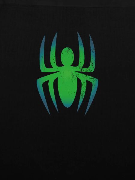 Spinne Tarantel Vogelspinne schwarze Witwe