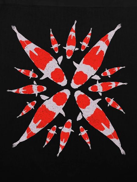 Koi