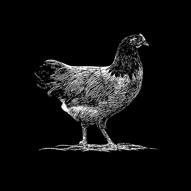 Poulets pré-bourses