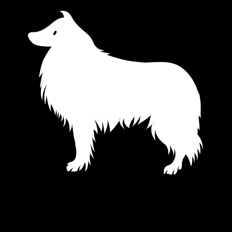 collie