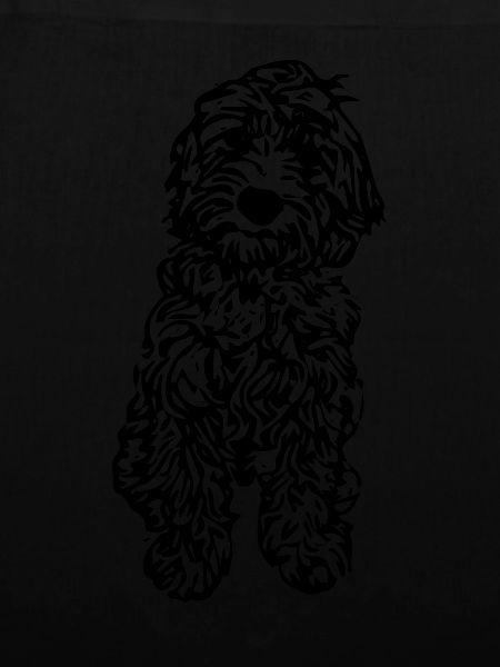 cockapoo
