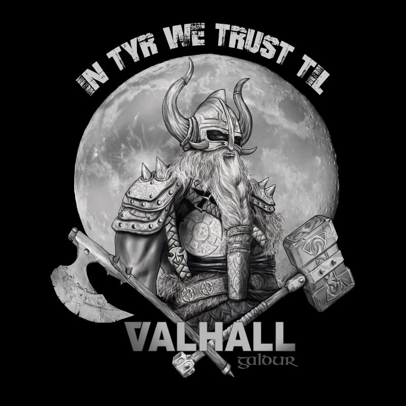 Wikinger TYR Valhall