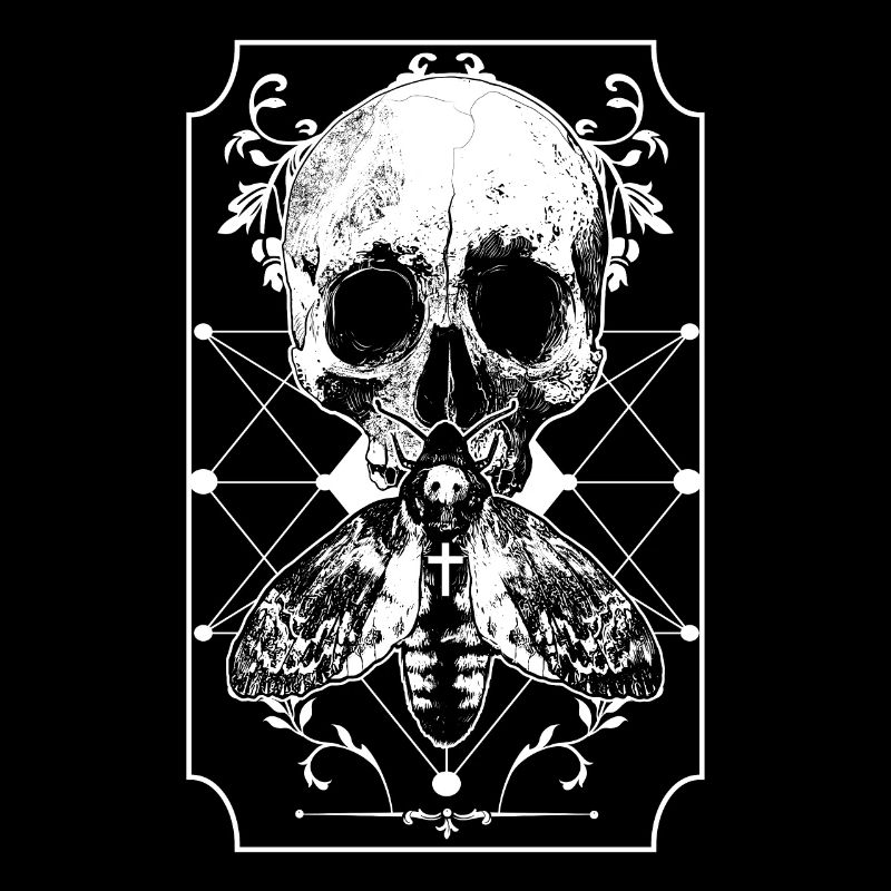 Moth skull