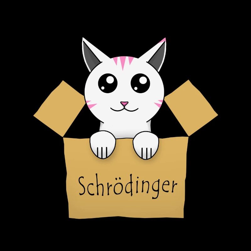 Le chat de Schrödinger dans une boîte