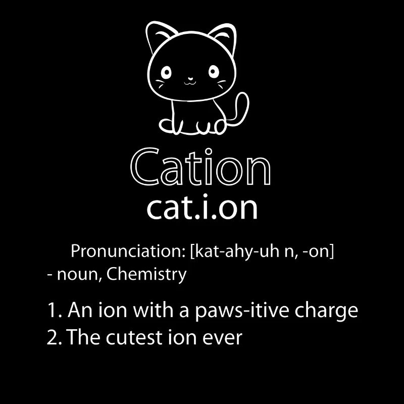 Cation chat Ion
