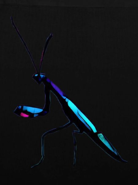 Bioluminescent Preying Mantis