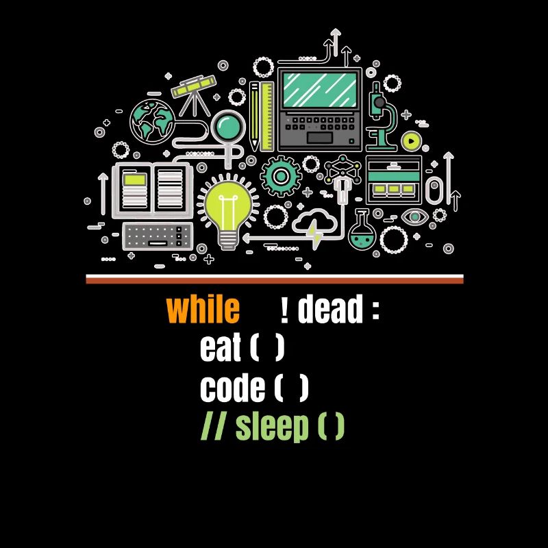 programmer