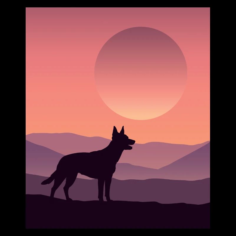 Australian Kelpie