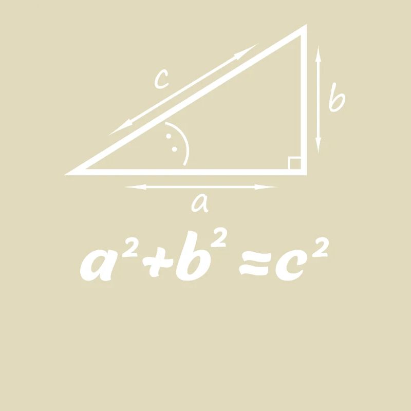 Pythagorean theorem gift for math teacher nerd