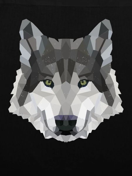 POLYGON WOLF MYTH FANTASY Husky