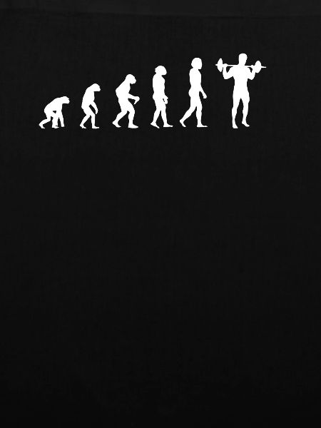 evolution of training