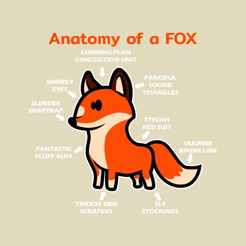 Anatomie eines Fuchs
