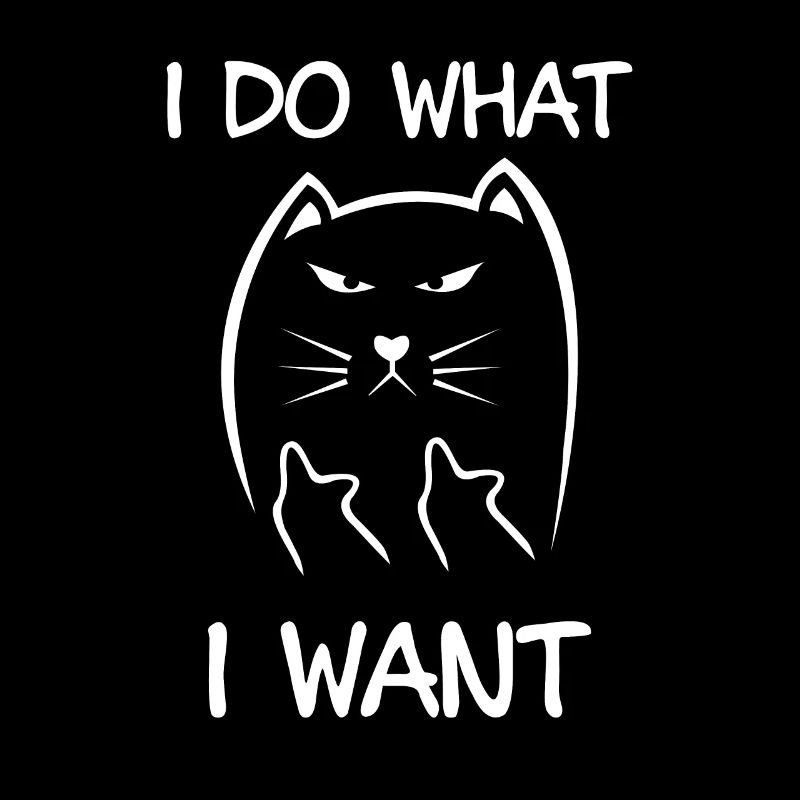 chat drôle je fais ce que je veux