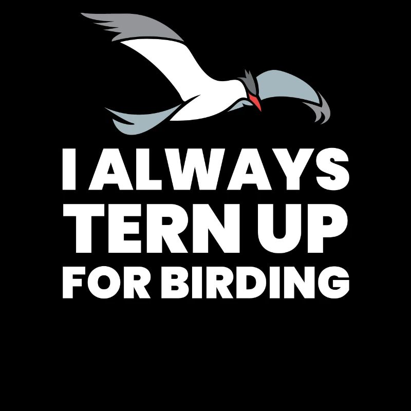 Birding, Jeu de mots d’observation des oiseaux - TERN Up