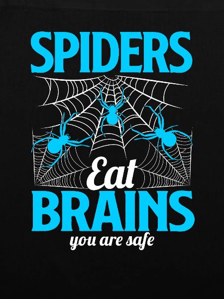 Spinne