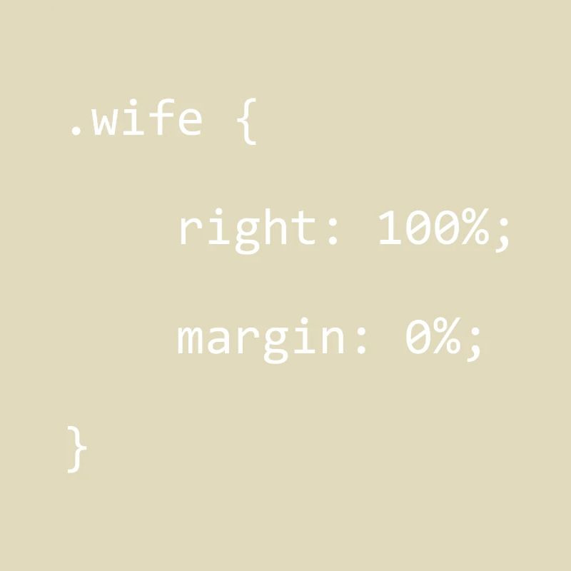 CSS Wife Right Softwareentwickler Developer