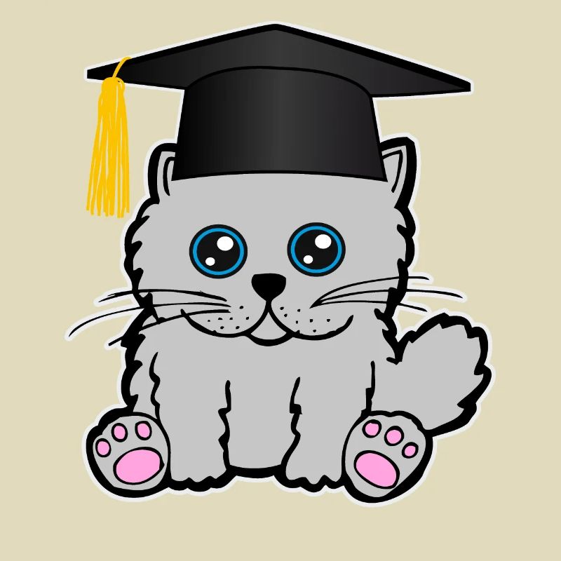 Bachelor Master Studium Abschluss Katze Mieze