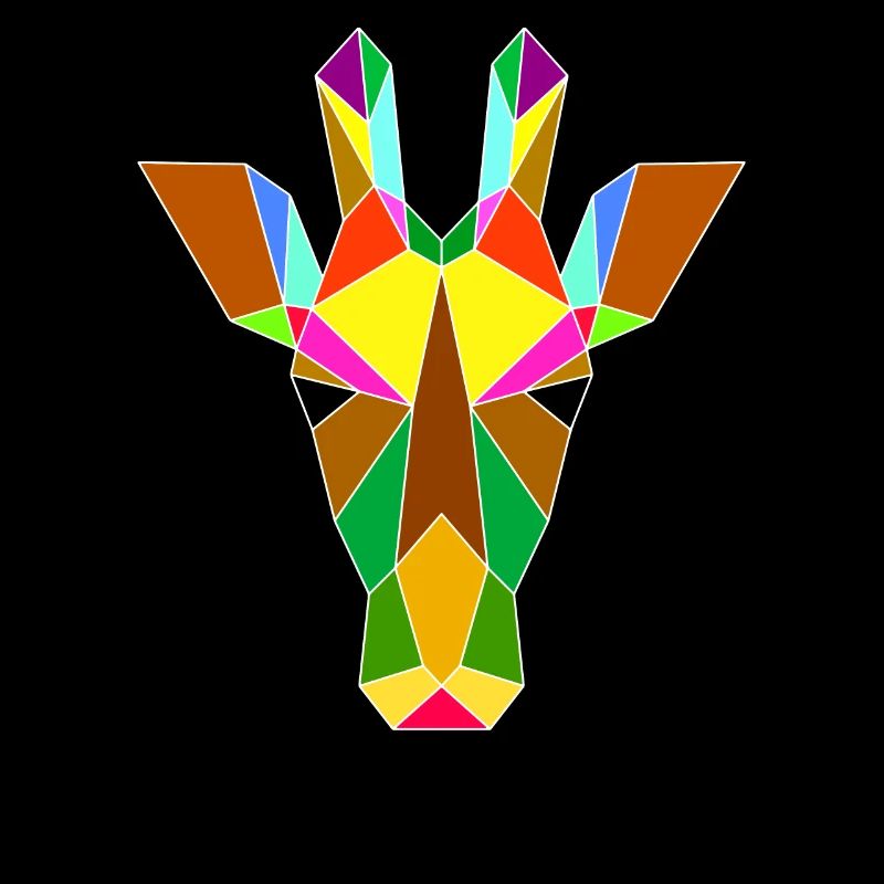 Giraffe geometry