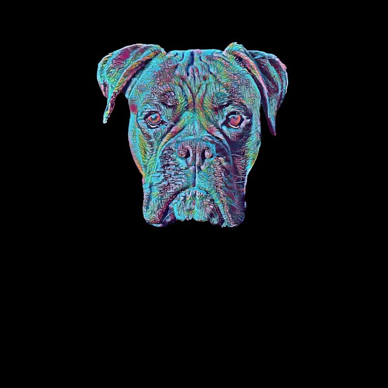 Boxer Funny