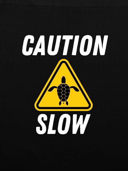 Turtle Caution Slow Sign