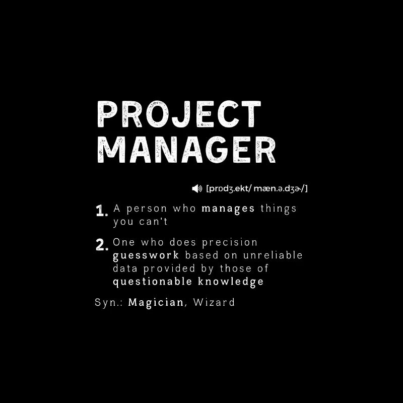 Chef de projet drôle Leader de la gestion des définitions