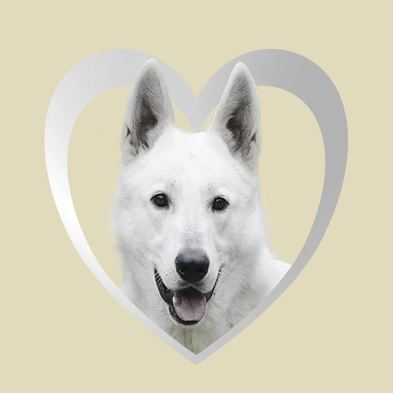 White Shepherd - White Shepherd Heart