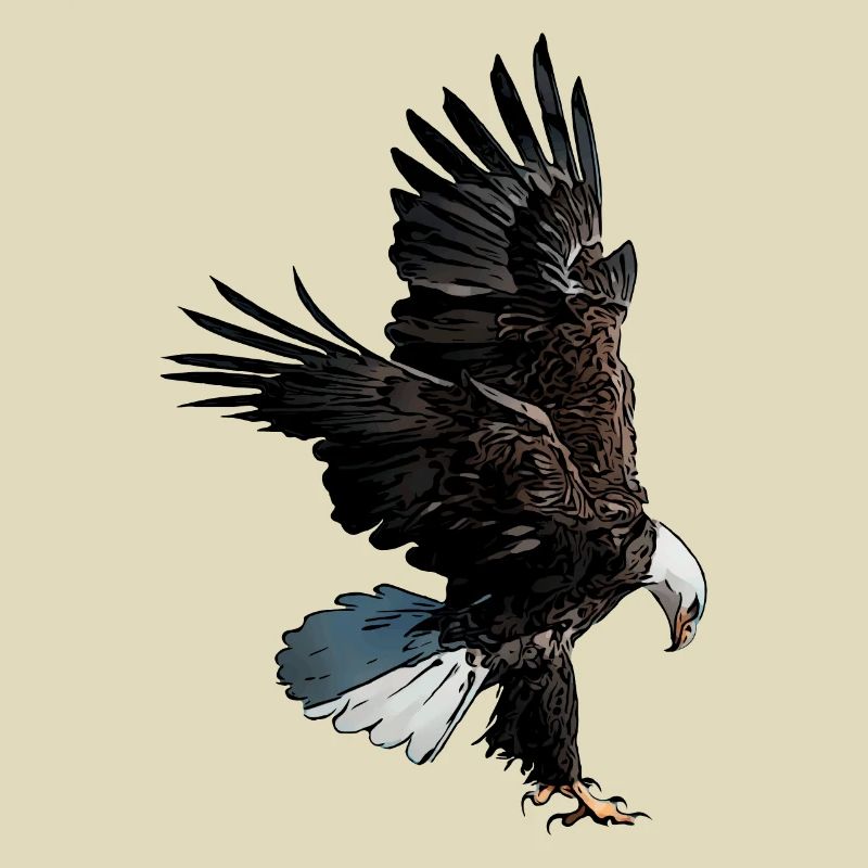 Eagle motif eagle imprint bald eagle eagle