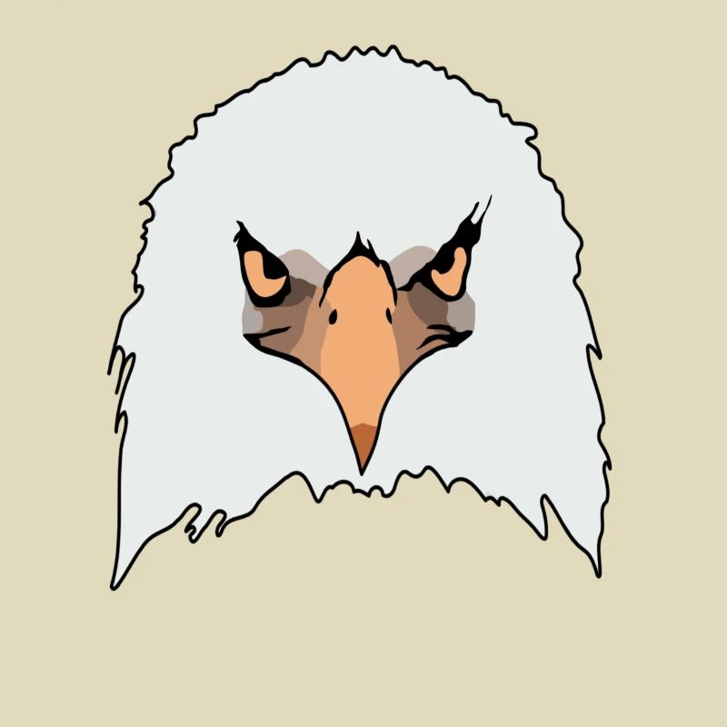 Eagle eagle motif eagle imprint bald eagle