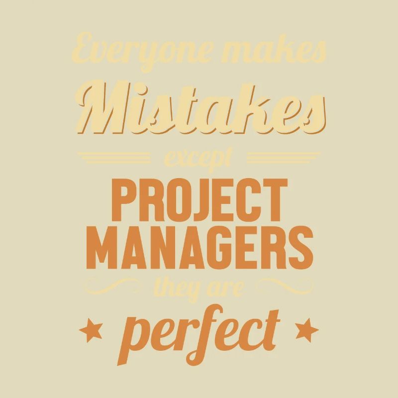 Project Manager are Perfect IT Project Manager