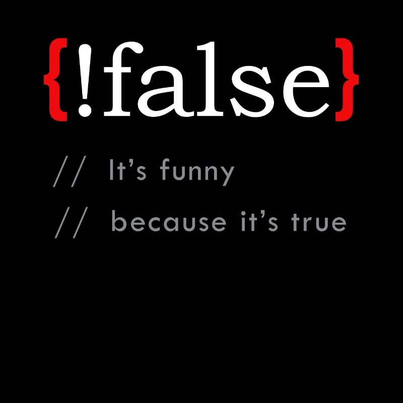 False It's Funny Because It's True Funny Programmi
