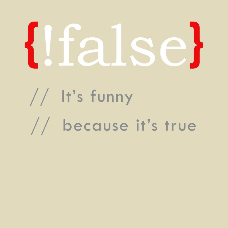 False It’s Funny Because It's True Funny Programmi
