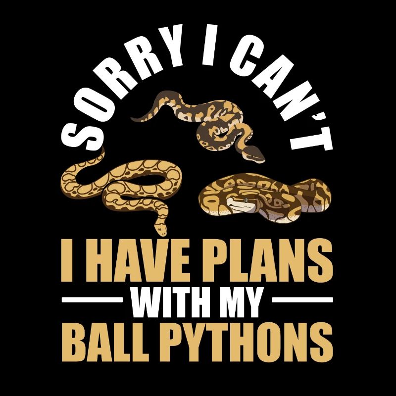 Plans Avec Mes Python Rois De Serpent