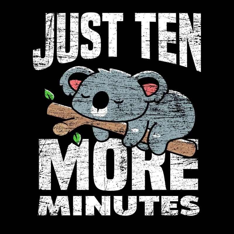 Koala sommeil