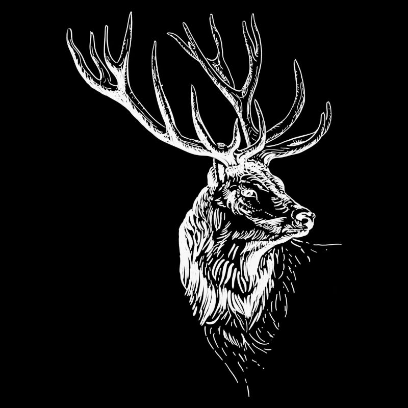 Hirsch