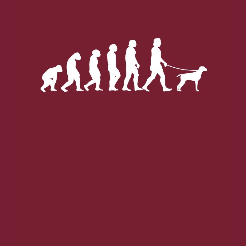 German Shorthair Evolution Pointing Dog Gift