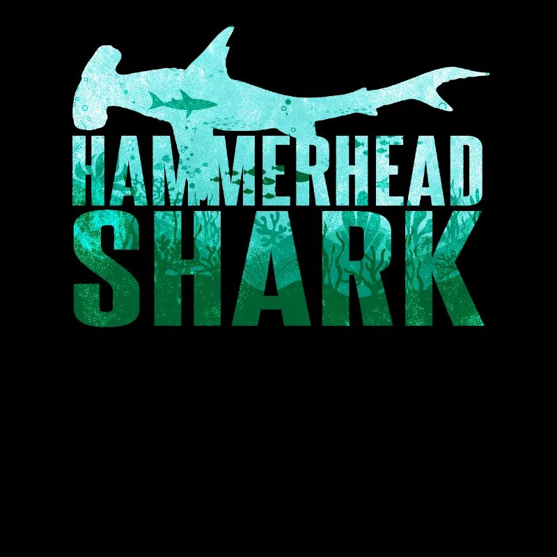 Requin-marteau Requin Requin Requin