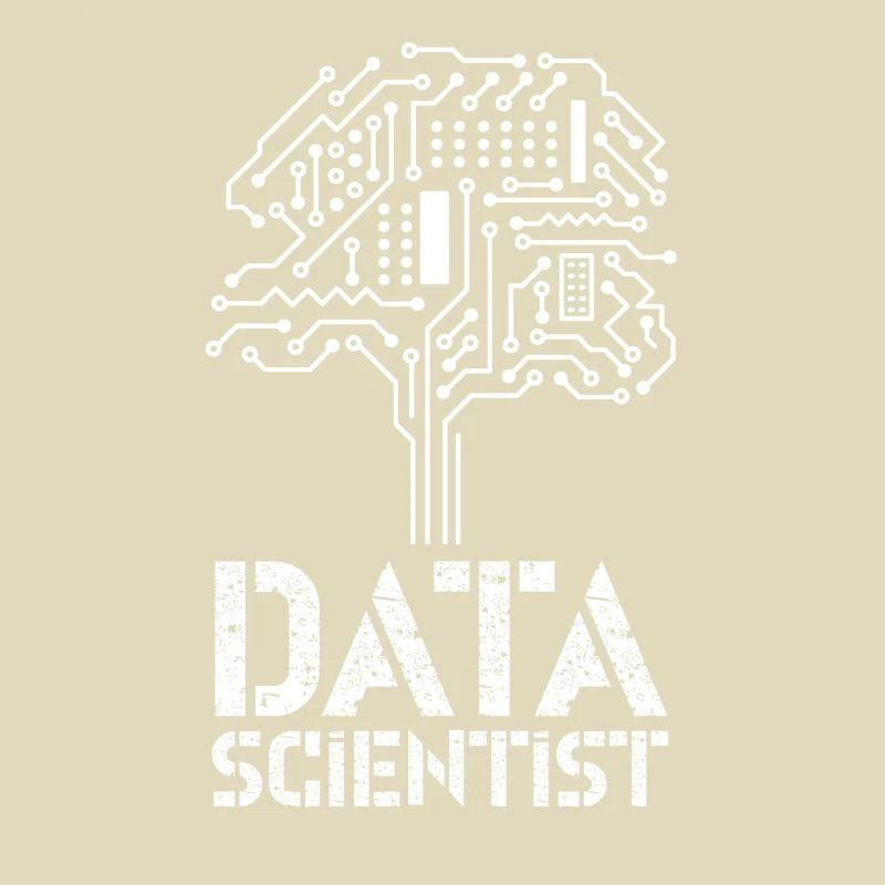 Data Scientist Data Science Data