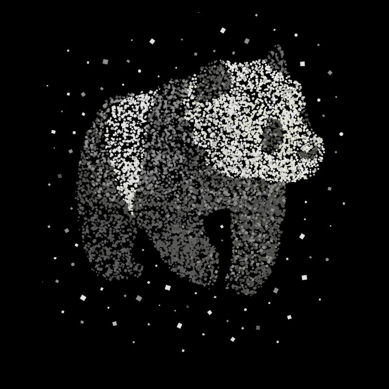 Panda Panda Bears Panda Lovers