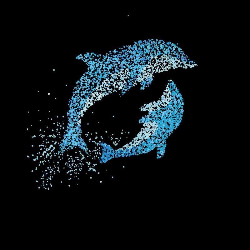 Dolphins Bottlenose dolphins Dolphin lovers Whale