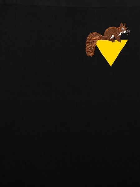 Squirrel Logo Emblem Grauhörnchen Squirrel
