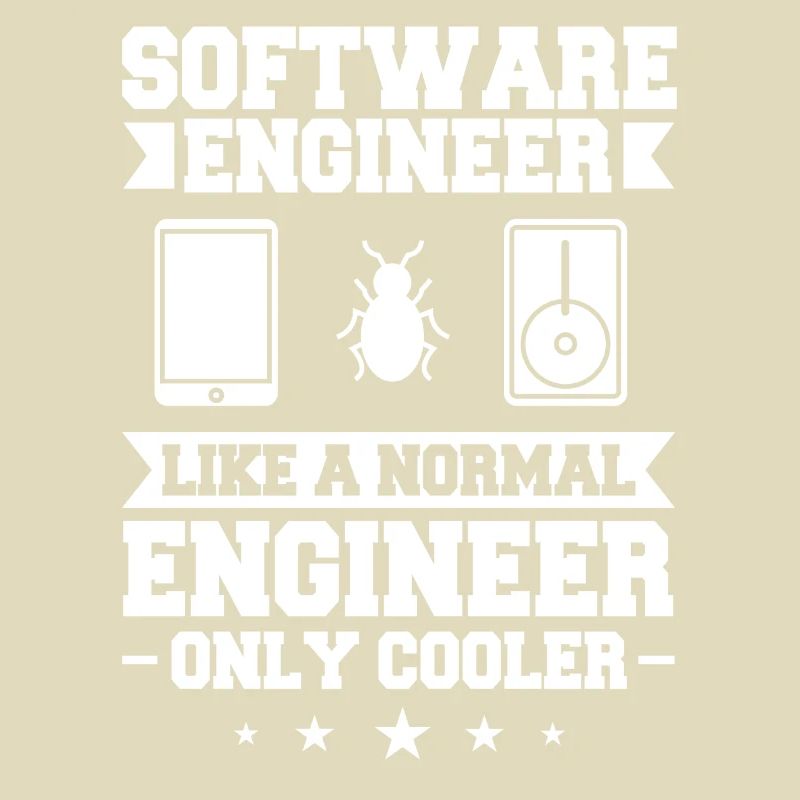 Software Engineering Softwaretechnik Ingenieur