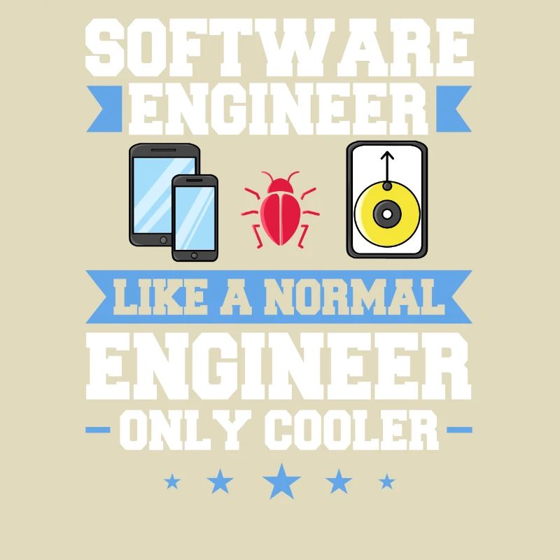 Software Engineering Softwaretechnik Ingenieur