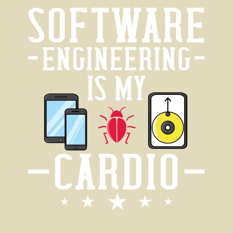 Software Engineering Softwaretechnik Ingenieur