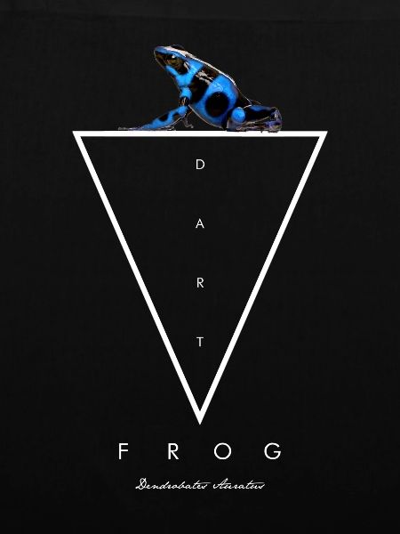 Blauer & Schwarzer Pfeilgiftfrosch Dendrobates auratus