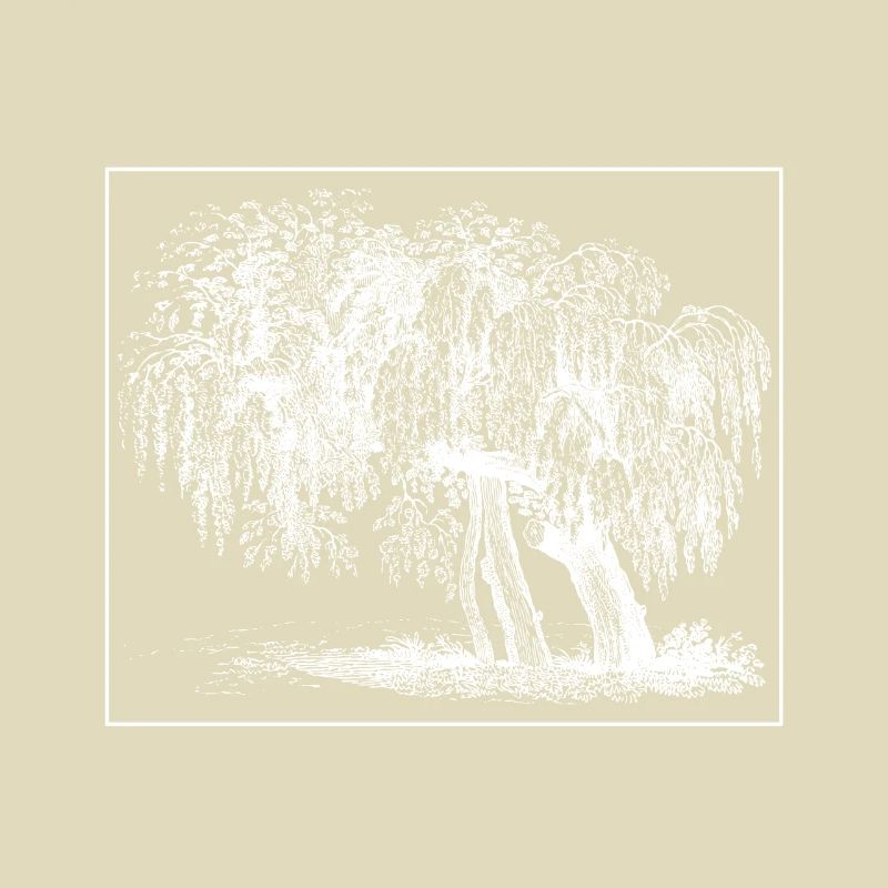 Baum