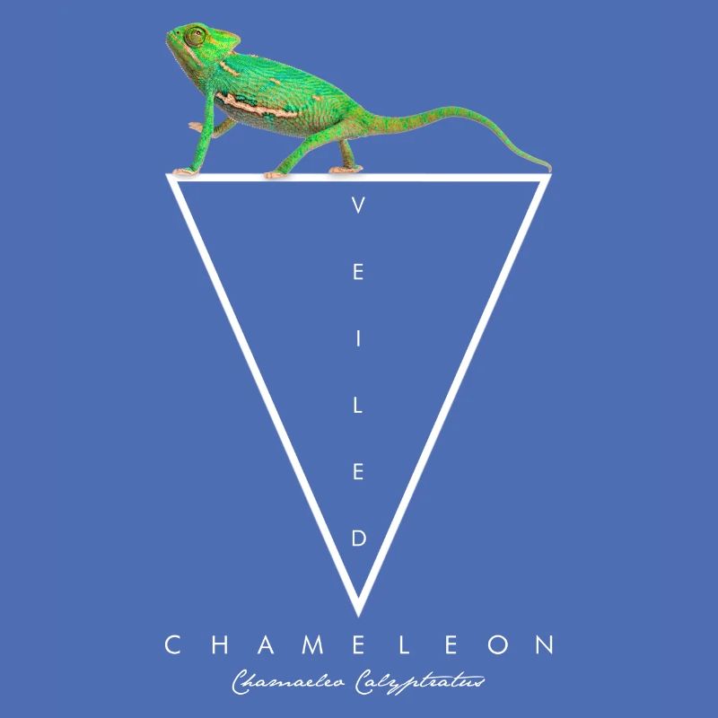Veiled Chameleon Geometric Reptile Keeper