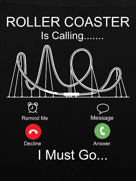 Roller Coaster Phone Display