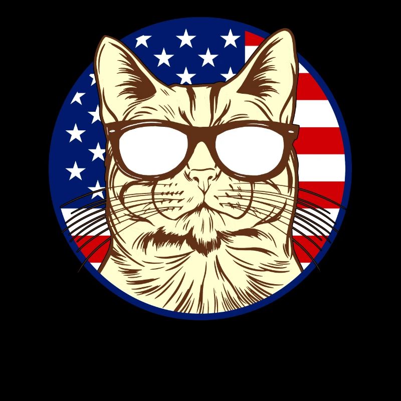 Cat with America flag I cat lover ameri