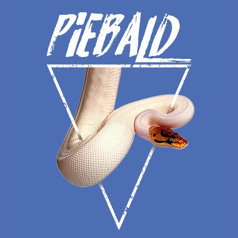 Piebald Ball Python Reptilienpfleger