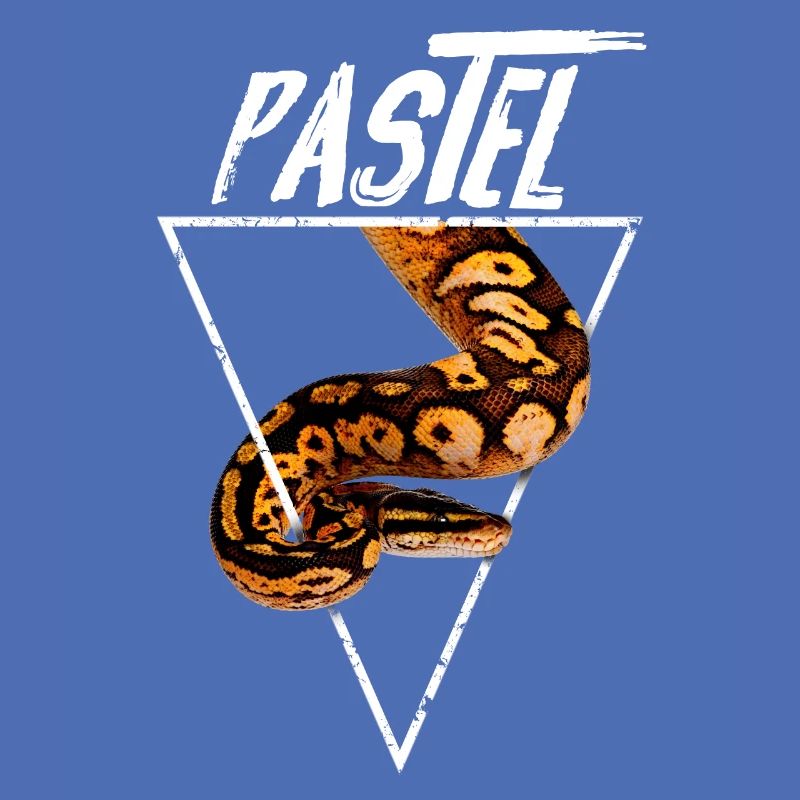 Pastel Ball Python Propriétaire